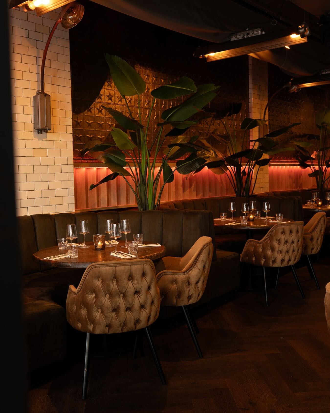 Where every detail sets the mood Welcome to the heart of Steak Club Leidse a place where ambiance meets flavor.
#leidseplein#Amsterdam#tourguideams
#steak#foodwithlove#steakclubleidse#cocktailtime